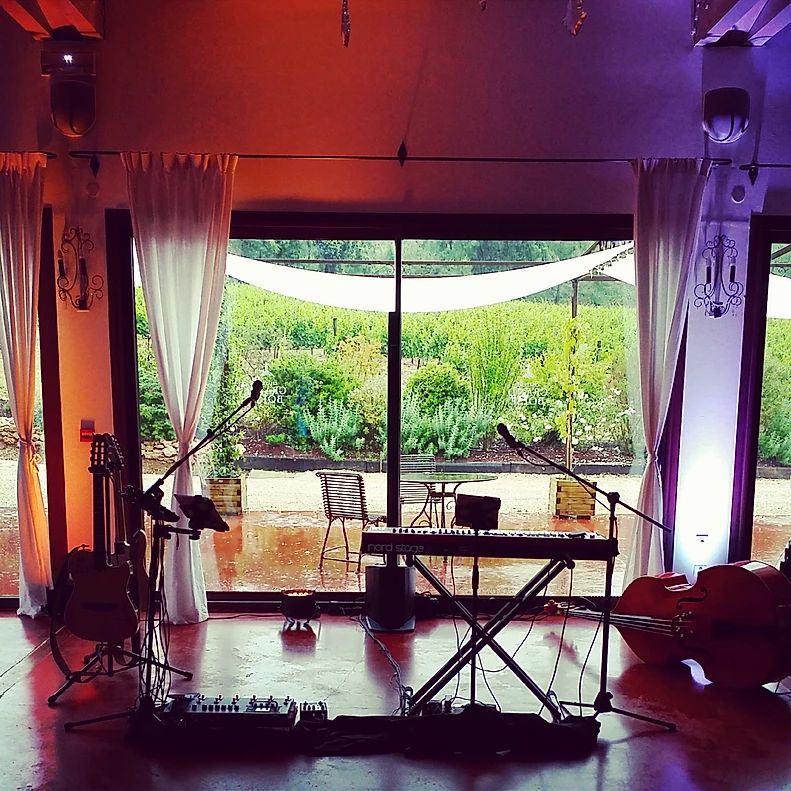 Soirée privée avec musique live